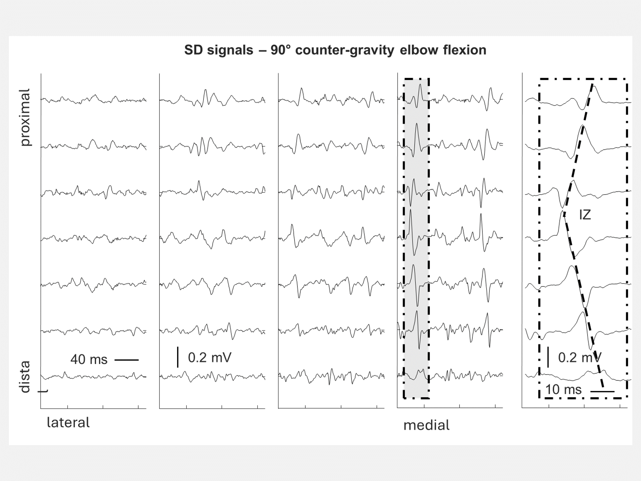 陌生+男女+磁力链接 in basic neurophysiology